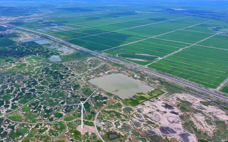 吉林白城：盐碱地上育新绿